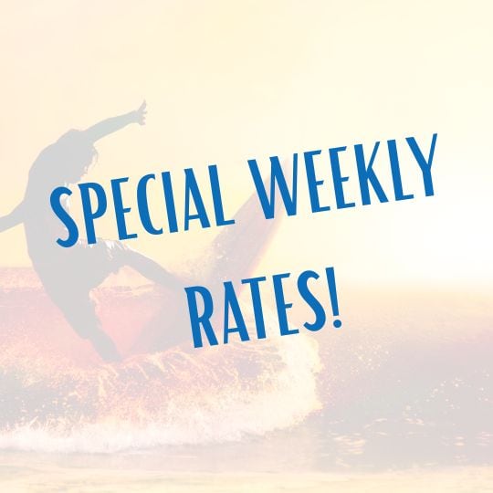 - WEEKLY SURF HIRE -